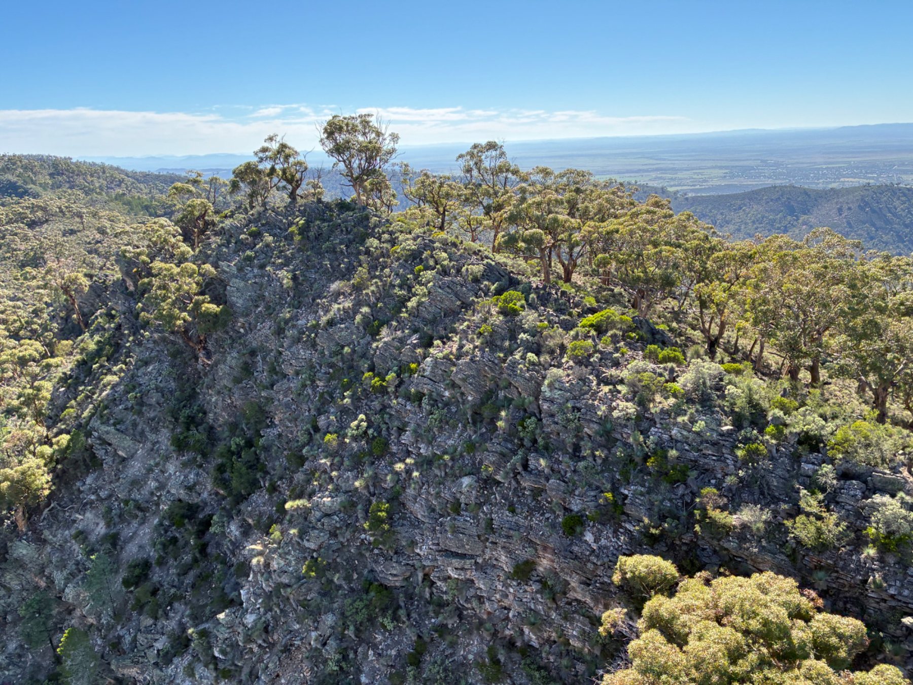 Australian native habitat